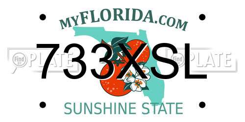 733XSL Florida License Plate