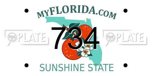 734 Florida License Plate