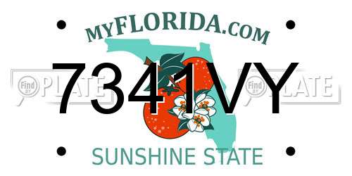 7341VY Florida License Plate