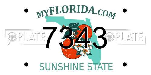 7343 Florida License Plate