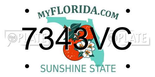 7343VC Florida License Plate