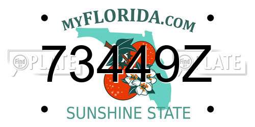 73449Z Florida License Plate