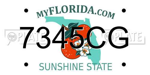 7345CG Florida License Plate