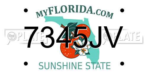 7345JV Florida License Plate