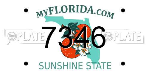 7346 Florida License Plate