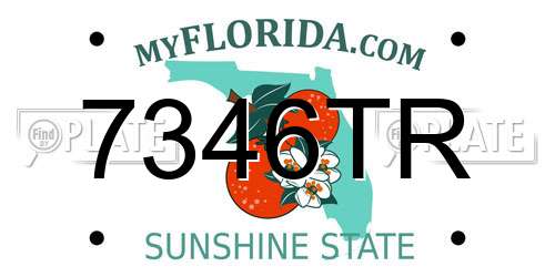 7346TR Florida License Plate