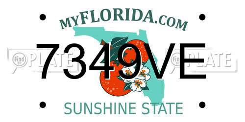7349VE Florida License Plate