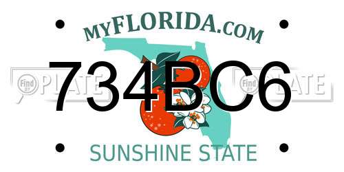 734BC6 Florida License Plate