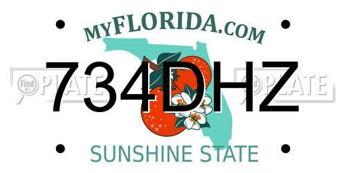 734DHZ Florida License Plate