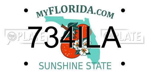 734ILA Florida License Plate