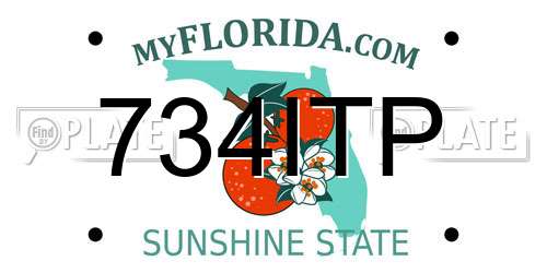 734ITP Florida License Plate