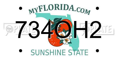 734OH2 Florida License Plate