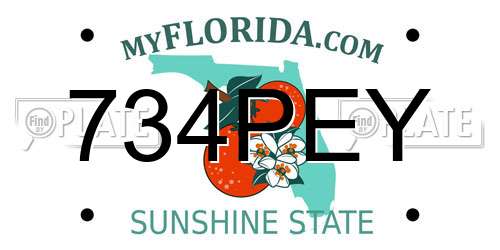 734PEY Florida License Plate