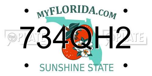 734QH2 Florida License Plate