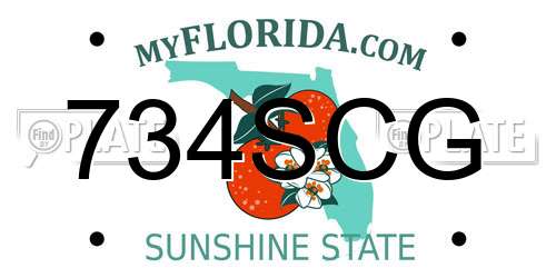 734SCG Florida License Plate
