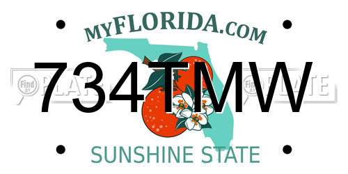 734TMW Florida License Plate