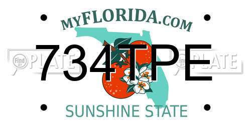734TPE Florida License Plate