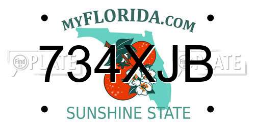 734XJB Florida License Plate
