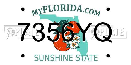 7356YQ Florida License Plate