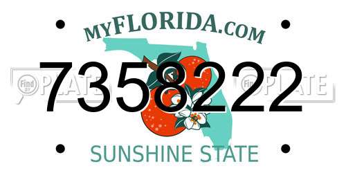 7358222 Florida License Plate