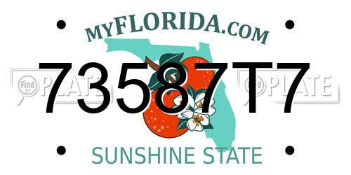 73587T7 Florida License Plate