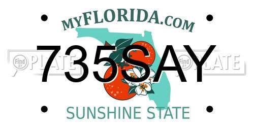 735SAY Florida License Plate