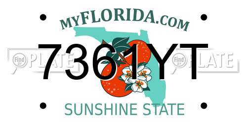 7361YT Florida License Plate