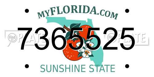 7365525 Florida License Plate