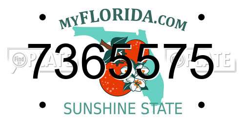 7365575 Florida License Plate