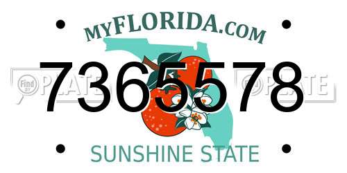 7365578 Florida License Plate