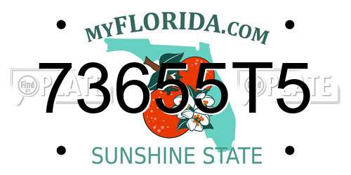 73655T5 Florida License Plate