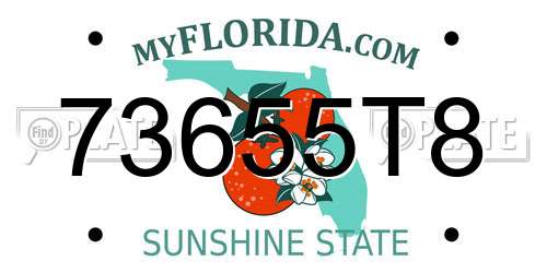 73655T8 Florida License Plate