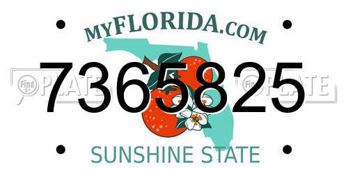 7365825 Florida License Plate