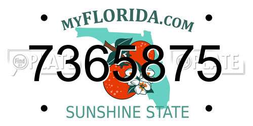 7365875 Florida License Plate