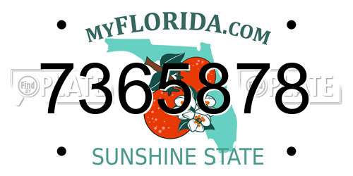 7365878 Florida License Plate