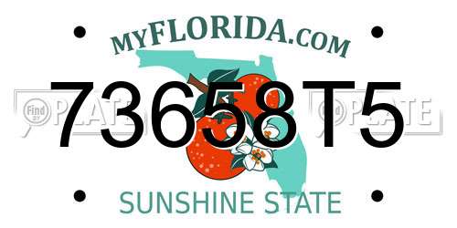 73658T5 Florida License Plate