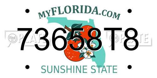 73658T8 Florida License Plate