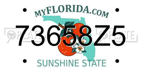 73658Z5 Florida License Plate