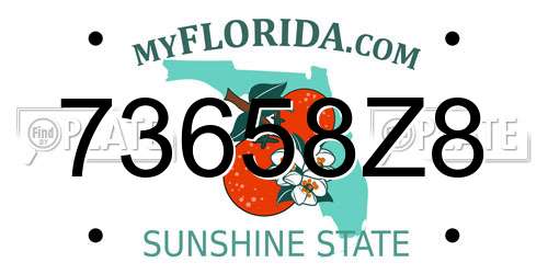 73658Z8 Florida License Plate