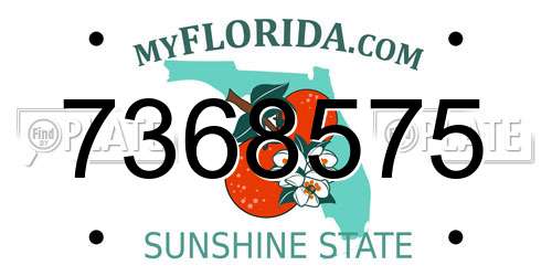 7368575 Florida License Plate