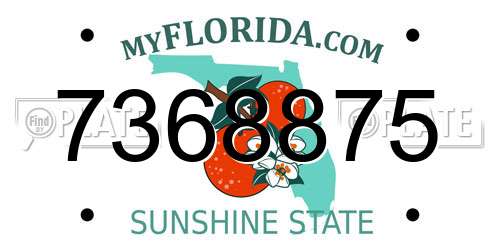 7368875 Florida License Plate