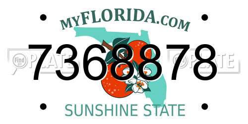 7368878 Florida License Plate