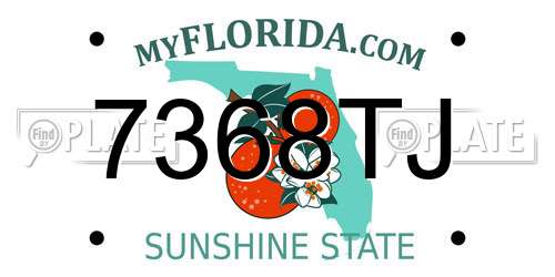 7368TJ Florida License Plate