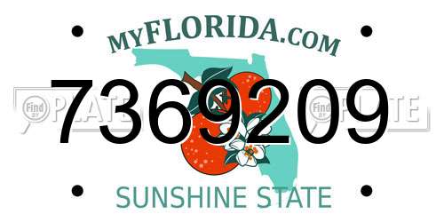7369209 Florida License Plate