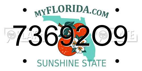 73692O9 Florida License Plate