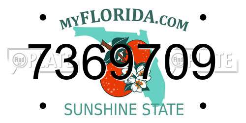 7369709 Florida License Plate