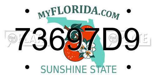 73697D9 Florida License Plate
