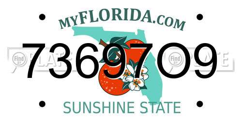 73697O9 Florida License Plate