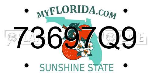 73697Q9 Florida License Plate