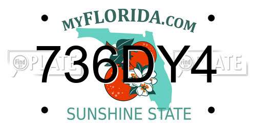 736DY4 Florida License Plate